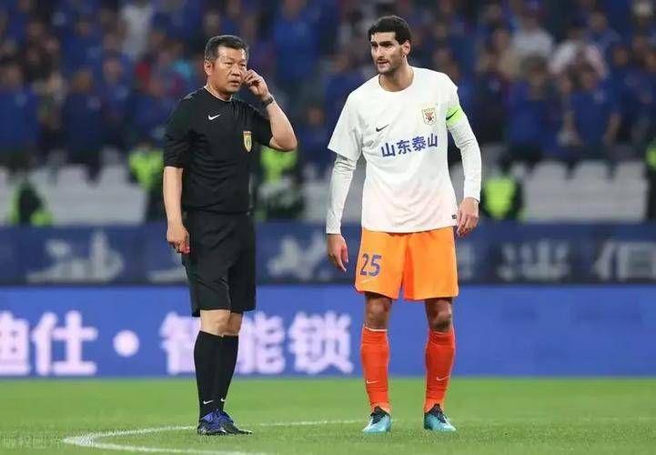 国产成人艳妇aa视频在线