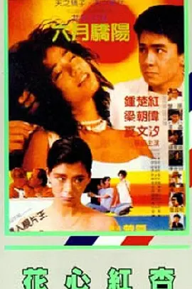 白蛇后传电视剧全集免费观看