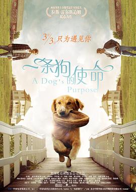 草久在线观看