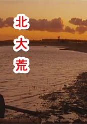 一级特黄一欧美俄罗斯毛片