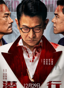 在线亚洲精品国产成人二区