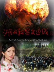 国内成人精品一区