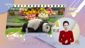 嗯啊h偷欲hh